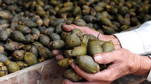 娱乐吃瓜酱找出5个错误,娱乐吃瓜酱五宗“瓜”错误揭秘